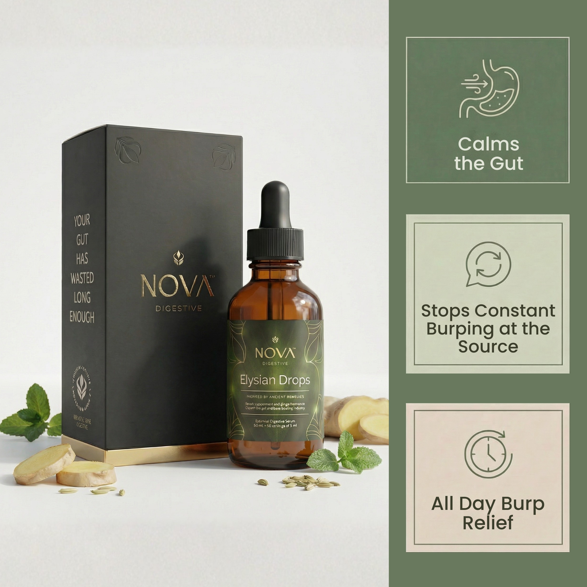 Gentle daily digestive regulator drops