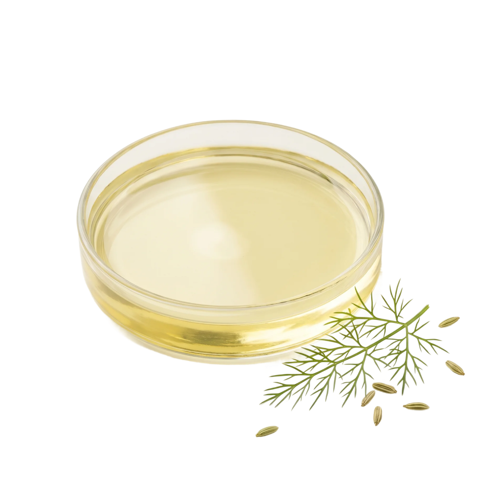 Foeniculum vulgare