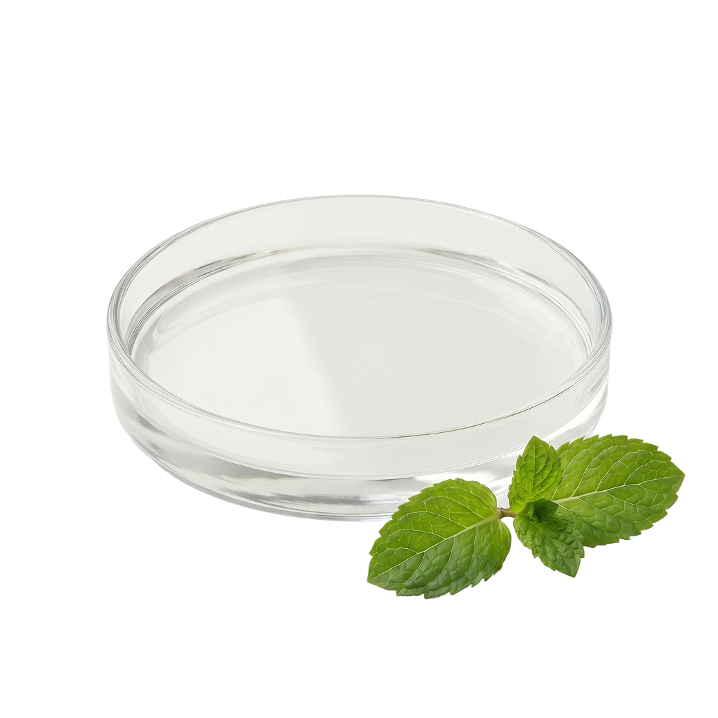 Mentha piperita