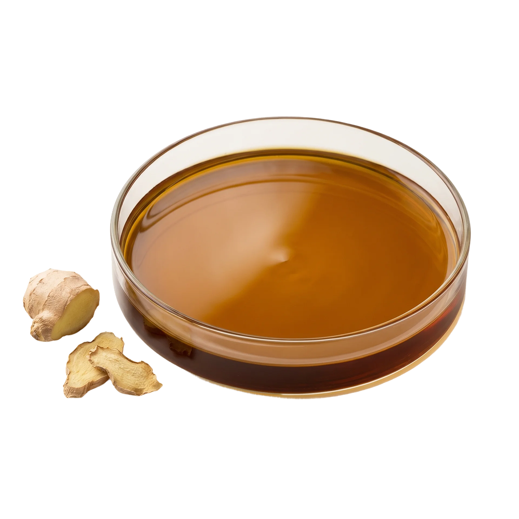 Zingiber officinale