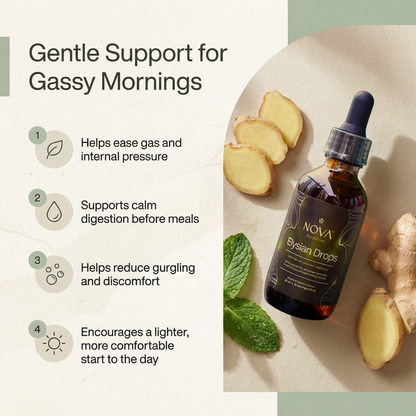 Elysian | Burping + Bloating Relief Drops