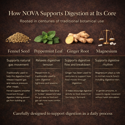 Elysian | Digestive Balance Drops