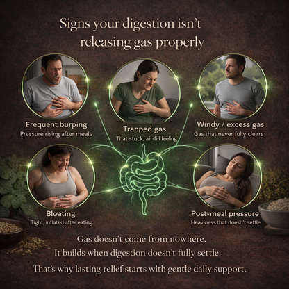 Elysian | Digestive Balance Drops