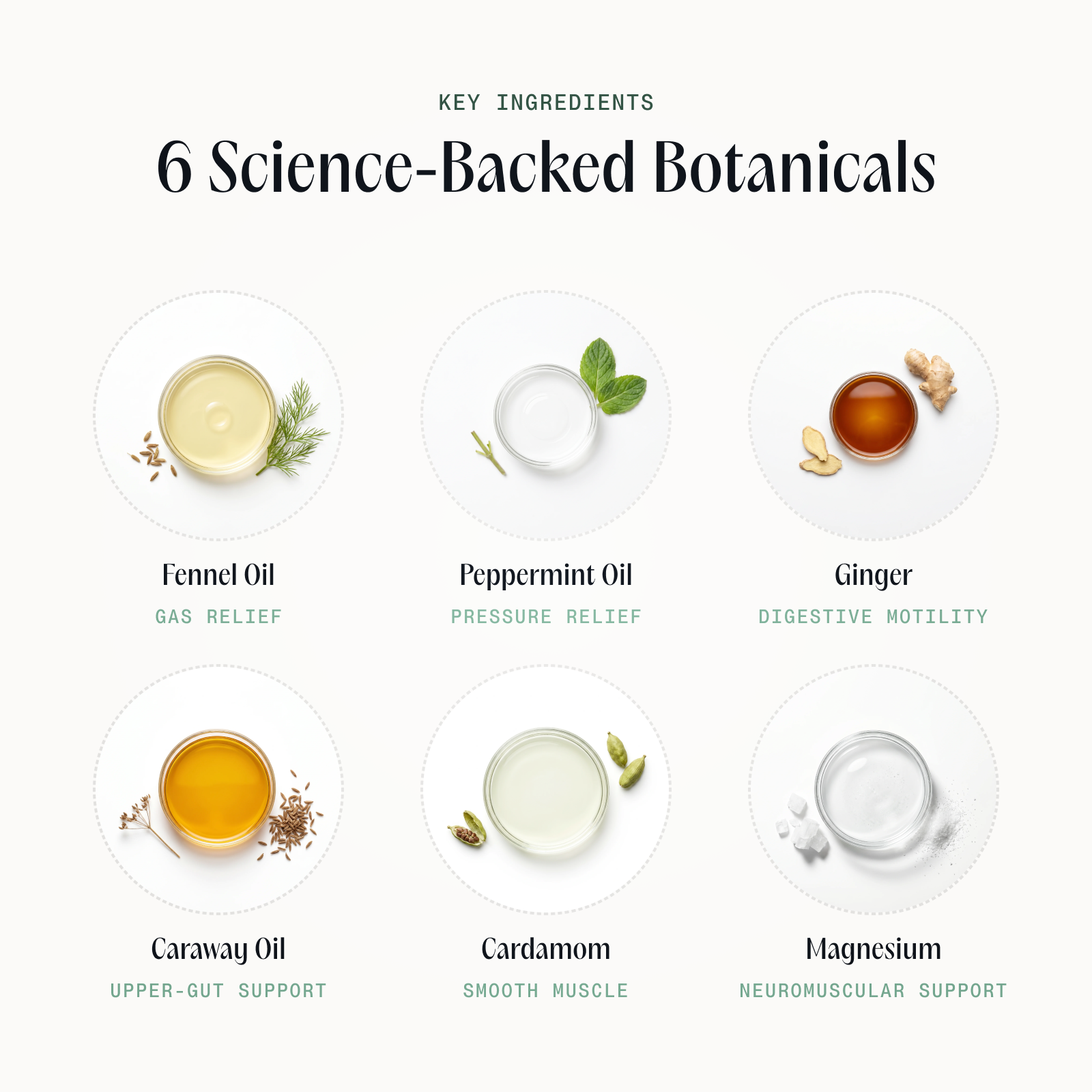 Elysian | Gastrointestinal Support Drops
