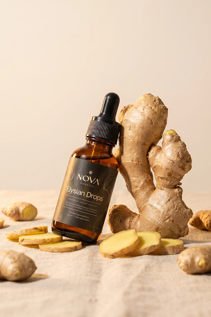 Nova Digestive